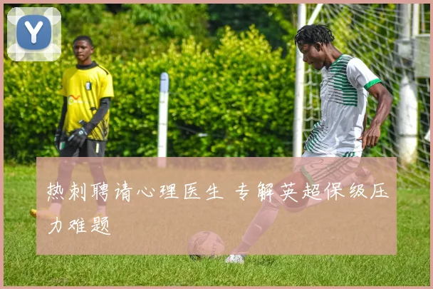 热刺聘请心理医生 专解英超保级压力难题